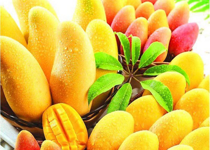 Wonderful Benefits Of Mangoes For Beauty - यह जानने के बाद आम खाने से पहले  चेहरे पर लगाएंगी! | Patrika News