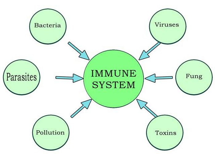 Pollution system. Immunity System. Low Immunity.