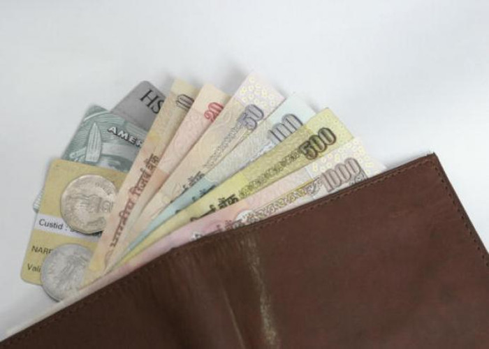 Keeping These Things In The Purse Helps Gain Money - जानें क्या रखें पर्स  में जिससे उसमें सदा रहें धन की लक्ष्मी- My Jyotish