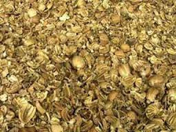 लग्जरी कार से ले जा रहा था डोडा चूरा, धरा गया