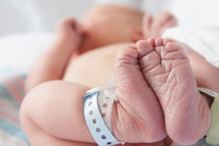 new born baby girl struggle, jodhpur किस्मत का दंश: मां और जिंदगी ने छोड़ा साथ, मौत के बाद भी नहीं मिला सुकून...