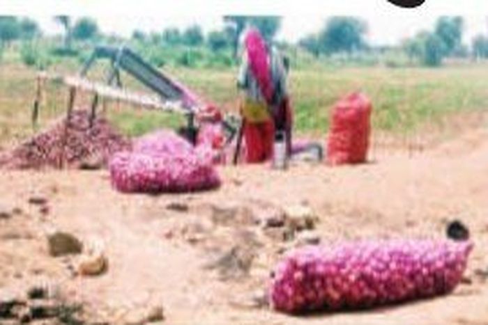 onion in the farm कभी खेत में, कभी मंडी में तो कभी शहर की डगर, अब हाईवे पर