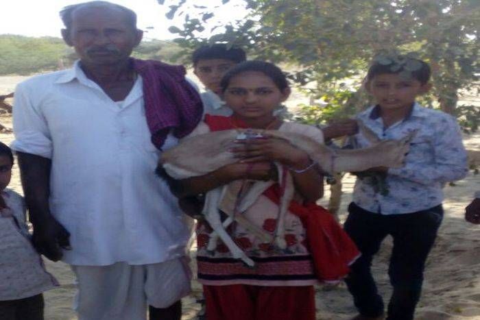 Raise the baby deer nutrition बच्चे की तरह किया हिरण का लालन पालन