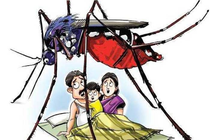 Horror of mosquito In 2016 in the city of lakes 2016 में झीलों की नगरी में मच्छरों का रहा आतंक, लोढ़ी काशी में मचाया कोहराम !