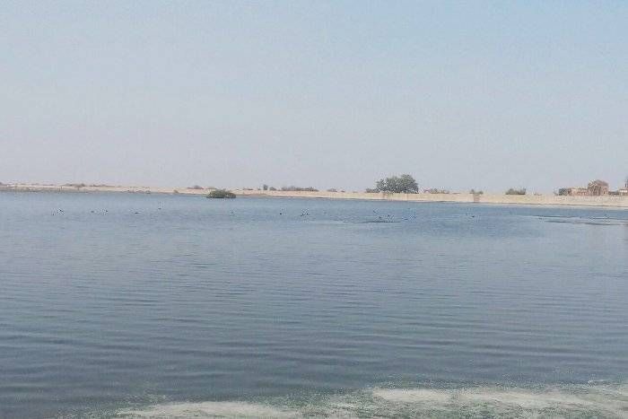 किशोरसागर तालाब में अब प्रवासी पक्षियों का डेरा