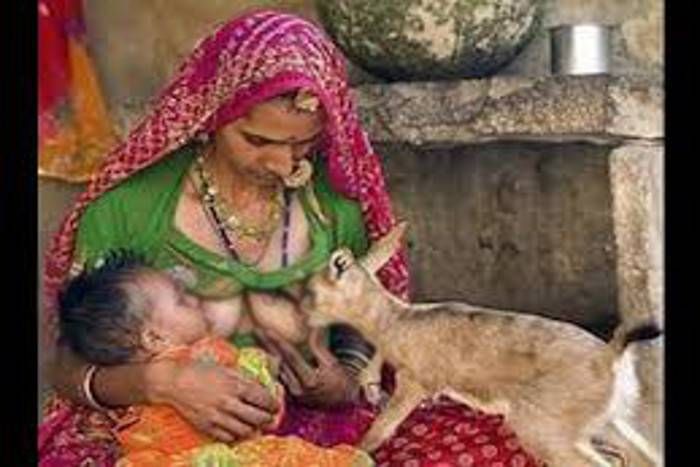 To Know About A Place Where Women Are Breastfeeding Their Milk Animals   L Breastfeeding 1487836033 835x547 