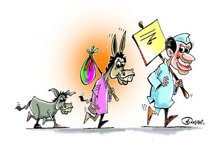 The population of donkeys in Rajasthan went half in nine years नौ साल में आधी रह गई गधों की आबादी