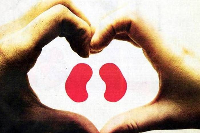 वर्ल्ड किडनी डे: बिना दवा शुगर कंट्रोल तो किडनी डैमेज का खतरा, जानिए किडनी खराब होने के लक्षण