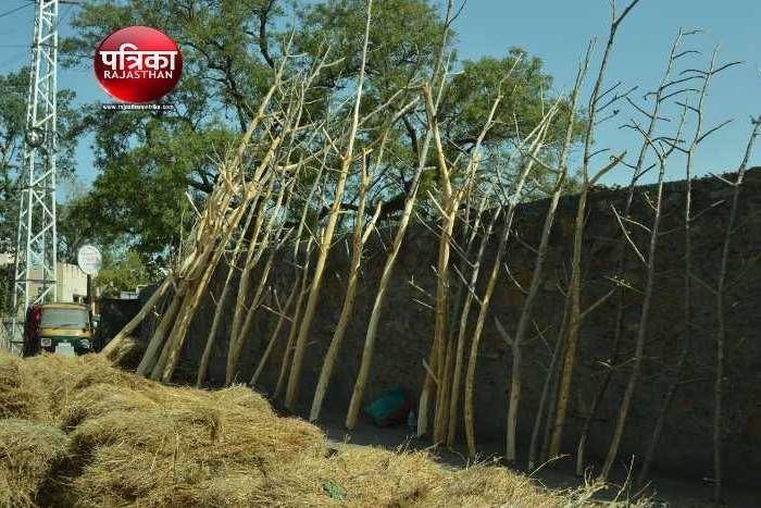 गोधूलि वेला में होगा होलिका दहन, कल उड़ेंगे होली के रंग