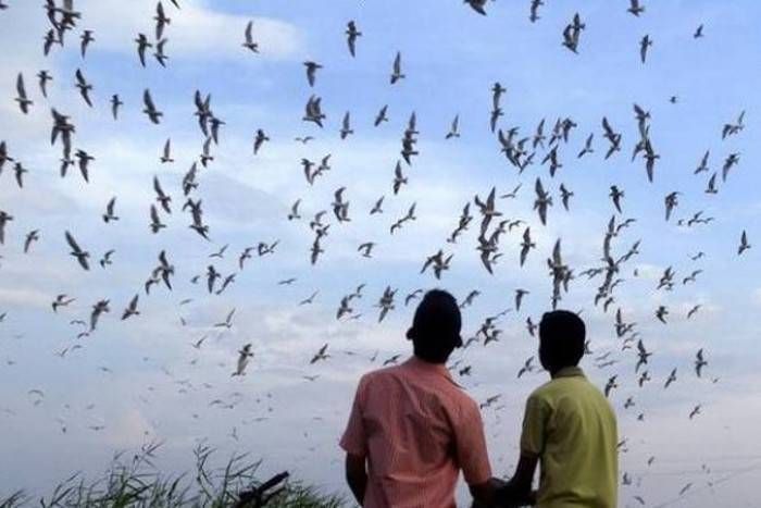 रिसर्च में खुलासा, ये है डिप्रेशन दूर करने का नेचुरल तरीका