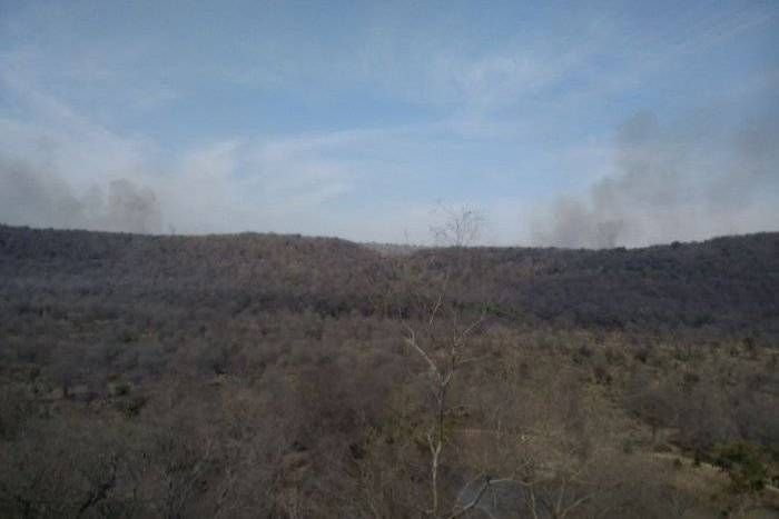 Dangerous fire in Mukundra Hills Tiger Reserve video: मुकुंदरा हिल्स टाइगर रिजर्व में लगी भीषण आग