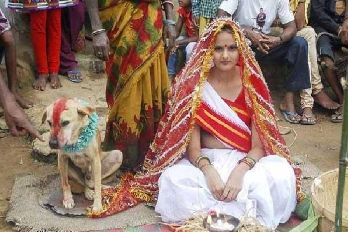 Unique tradition एक विवाह ऐसा भी, यहाँ दुल्हन का दूल्हा बना कुत्ता