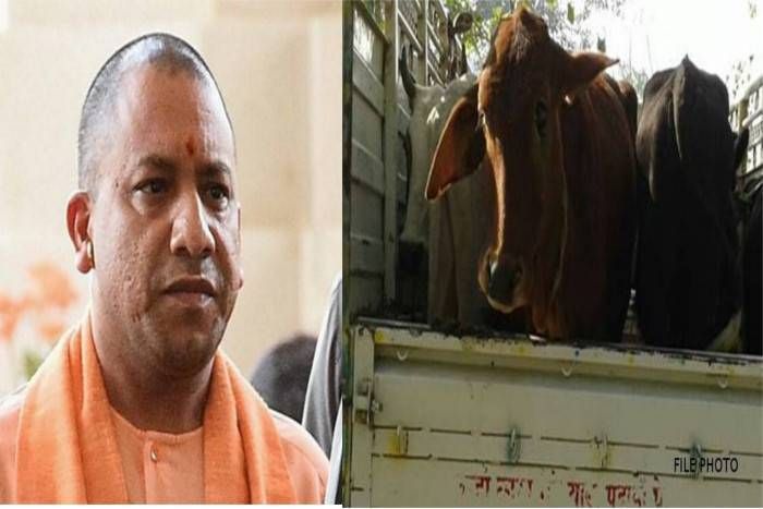 slaughterhouse बड़ा खुलासा: देश के 8 राज्यों में एक भी रजिस्टर्ड बूचड़खाना नहीं, तो वहीं...