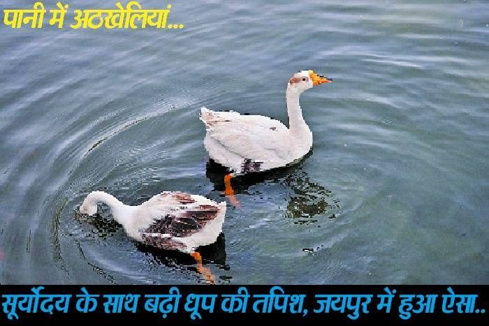 news & Photos rajasthan पूरब की ओर खिसका चक्रवाती तंत्र, गर्मी ने राजस्थान में किया बेहाल, चल रही हैं धूलभरी हवाएं