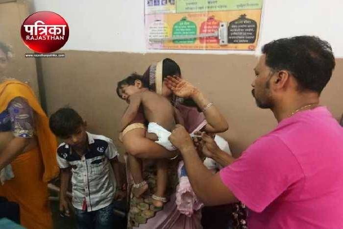 कुंभलगढ़ देखने पहुंचे लोगों पर मधुमक्खियों का हमला, जान बचाकर भागे फिर भी हो गए घायल