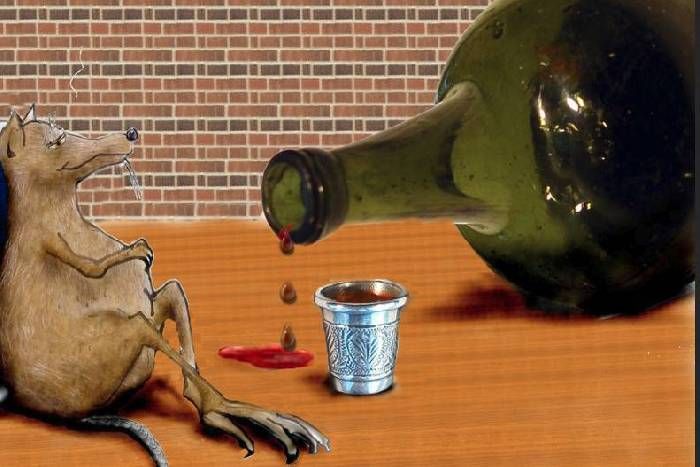 Bihar Rats drank गजब! नितीश राज में शराबी चूहों की मौज, गटक गए 45 करोड़ रुपये की शराब
