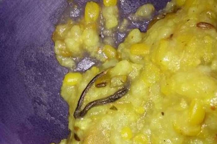 Snake Found छिपकली के बाद मिड डे मील में मिला सांप, उल्टी के बाद बच्चों को भेजा गया अस्पताल
