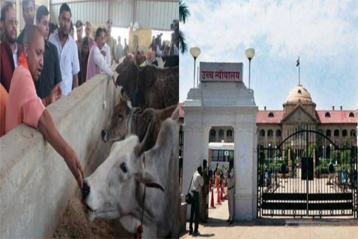 allahabad highcourt योगी सरकार को इलाहाबाद HC ने लगाई फटकार, कहा- मांसाहार से किसी को रोक नहीं सकते, जारी करें बूचड़खानों के लाइसेंस