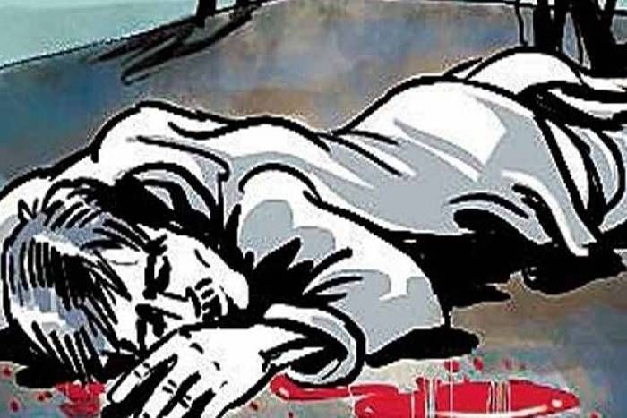 young man's death hit stray cattle आवारा मवेशियों ने ली एक और युवक की जान