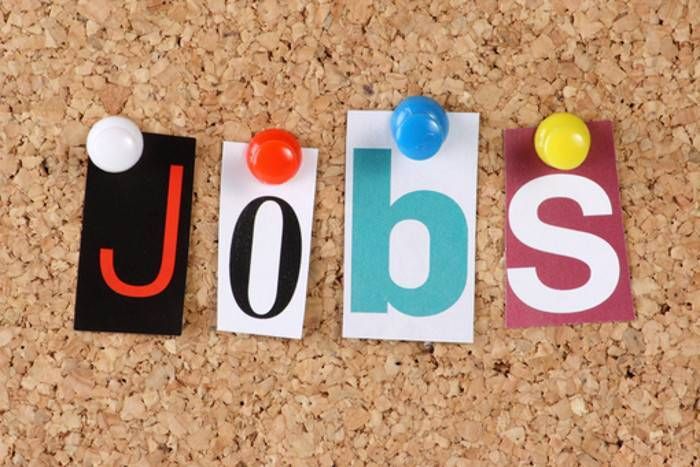 SSC ने निकाली 183 पदों पर भर्ती, एसबीआई में भी नौकरी पाने का मौका