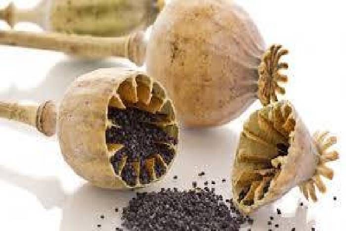 कार से जब्त की 5 किलो 300 ग्राम अफीम