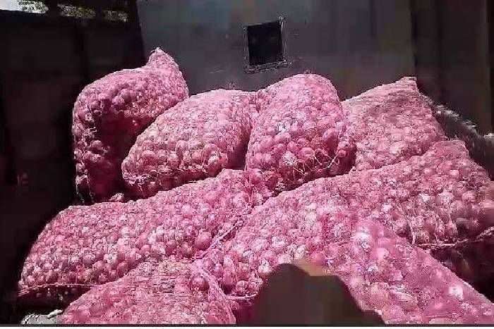 onion ready video- आमदनी तो दूर मजदूरी के पैसे देने पड़ सकते है घर से