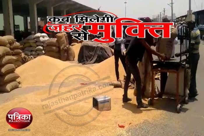 Contaminated Food, Pesticides in Food, Contamination, Food Safety, Bhilwara News in hindi, Fertili Video: अधिक उत्पादन के लिए धरा में डाल रहे उर्वरक, जीवन को पहुंचा रहे नुकसान