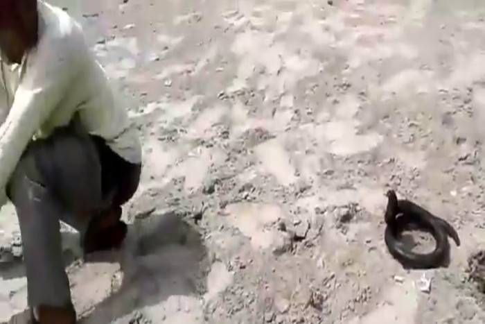 ajab gjab video VIDEO: नहीं देखा होगा ऐसा कमाल का वीडियो, हंस-हंस कर हो जाएंगे पागल