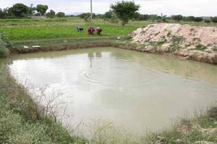 खेत तलाई में डूबा 290 किसानों का अनुदान