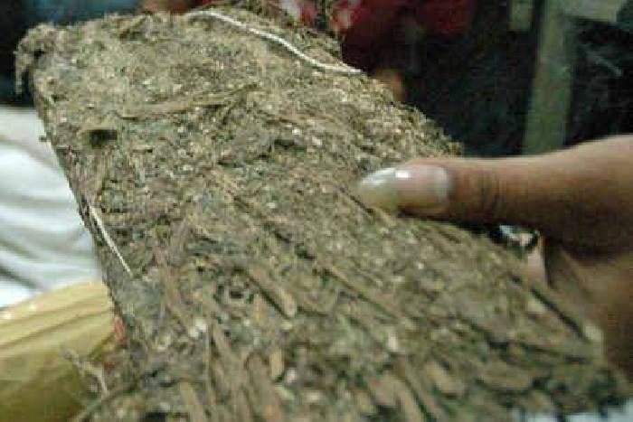 ganja smuggler arrested जयपुर में गांजा सप्लाई कर रहे तस्कर को पुलिस ने दबोचा, बिहार से सवा किलो लेकर आया था