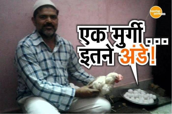 जयपुर की ये मुर्गी बनी अंडों की 'फैक्ट्री'! 24 घंटे में ही दे डाले 36 अंडे, देखने वालों का लगा तांता