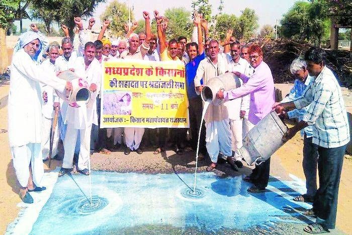 सड़कों पर उतरे किसान, बहा दिया इतने लीटर दूध, आप भी जाने क्या है मामला...