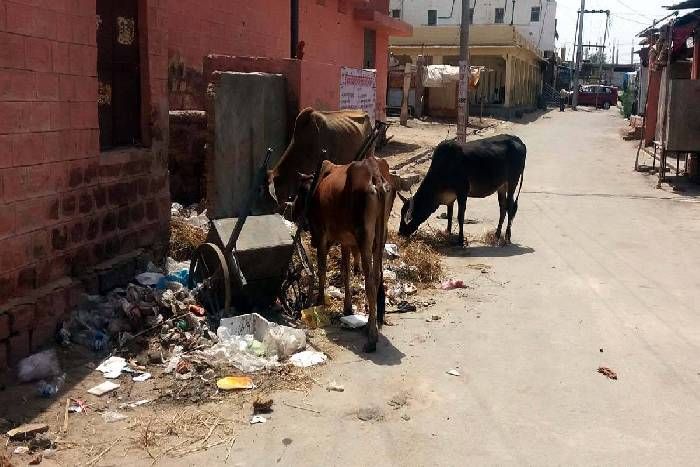 ramdevra villege वीआईपी रोड के यह हाल देख आंखे झपकाना भूल जाएंगे आप