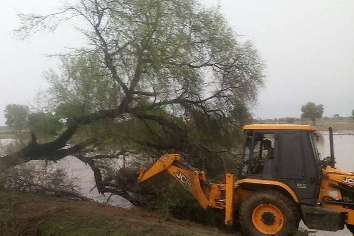 वितरिका में पेड़ गिरने से कटाव