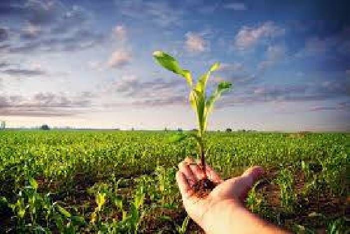 crop आखिरकार अन्नदाता को मिल गई राहत