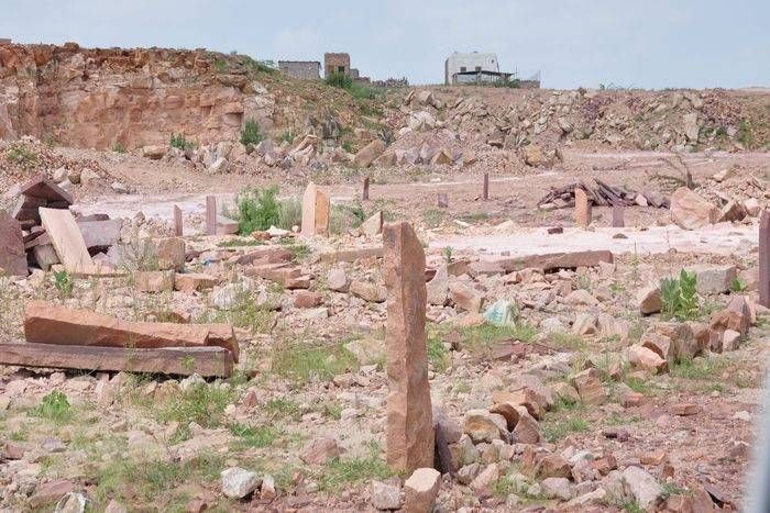 encroachment over forest land in jodhpur, forest department of jodhpur, encroachment in jodhpur, forest land in jodhpur, forest of jodhpur, jodhpur news क्या सब कुछ लुटने के बाद होश में आएगा जोधपुर का वनविभाग!