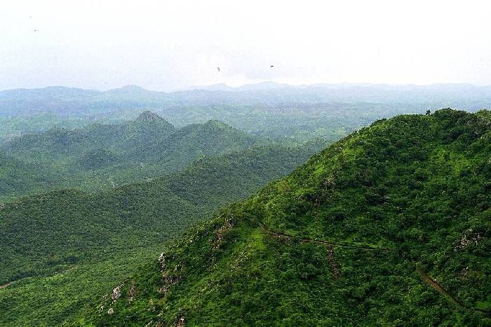 sewage water use for Aravalli hills सीवरेज का पानी यूं बदलेगा अरावली की किस्मत, अजमेर में दिखेगा मसूरी जैसा नजारा