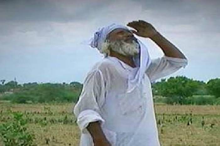 चिंतित किसान...शेखावाटी में मानसून की बेरुखी खेतों पर भारी, खेत में फसले अब होने लगी बर्बाद....