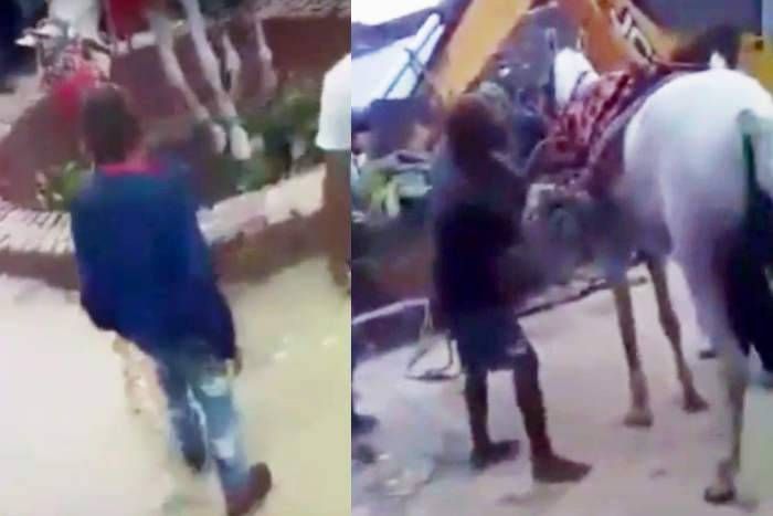 Groom दुल्हन के घर जाने की बजाए दूल्हे को लेकर घोड़ी कूद पड़ी कुएं में