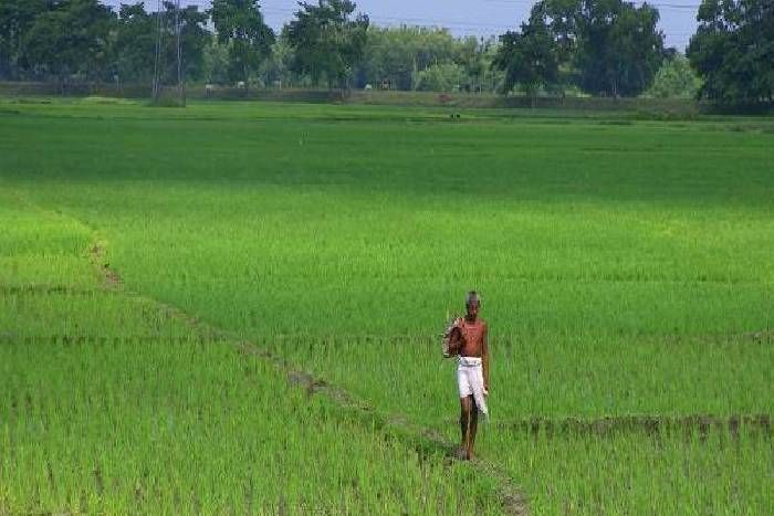 किसानों के लिए आई है खुशखबर, अब आसान हुआ कृषि भूमि पर मकान बनाना