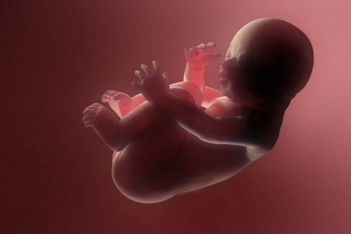 Mother throw her newborn baby in the pond मां की ममता हुई शर्मसार, जानने के लिए पढि़ए ये खबर