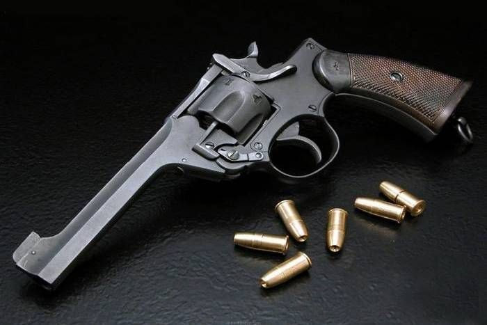 Illegal Weapons supply in kota from nearer states पड़ौसी राज्यों से कोटा में आ रहा मौत का सामान