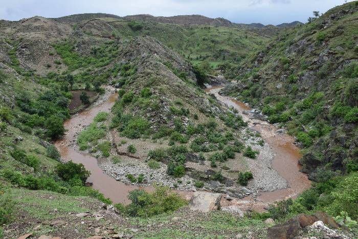 rain उदयपुर, झाड़ोल और देवास में जमकर बरसे मेघ, नदी-नालों में आया उफान