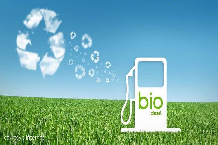 jodhpur news, jodhpur IIT developed biodiesel by soil, biodiesel, IIT jodhpur, talent of jodhpur, research of IIT jodhpur, faculty of IIT jodhpur, higher education institutions in jodhpur, latest news in hindi जोधपुर आईआईटी ने किया कमाल, धोरों की मिट्टी से बनाया सस्ता बायो डीजल