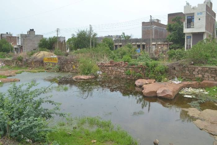 खाली भूखण्डों में भरे पानी में पनप रहे इतने मच्छर की शहर को कर दें बीमार