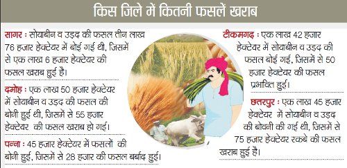 रबी फसलों पर भी मौसम बन सकता है आफत