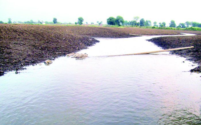 cenal लेफ्ट ब्रांच कैनाल से गहाल के आगे तक जाएगा नहर का पानी