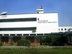 इन पौधों से प्रदूषणमुक्त होगी गोमती नदी