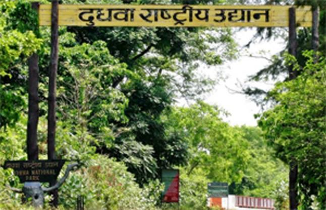 dudhwa park बर्ड फेस्टिवल में चंबल के साथ दुधवा भी जाएंगे पक्षी विशेषज्ञ
